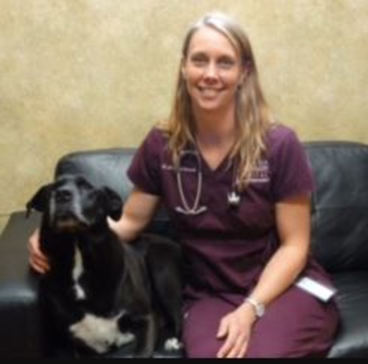 Anemia and Blood Transfusions in Dogs Dogs Health Problems